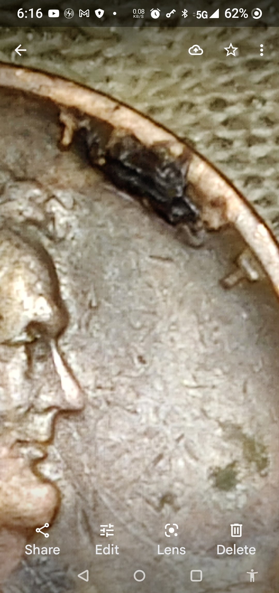 I-Was-Wondering-What-Causes-Damage-On-The-1928-D-Penny